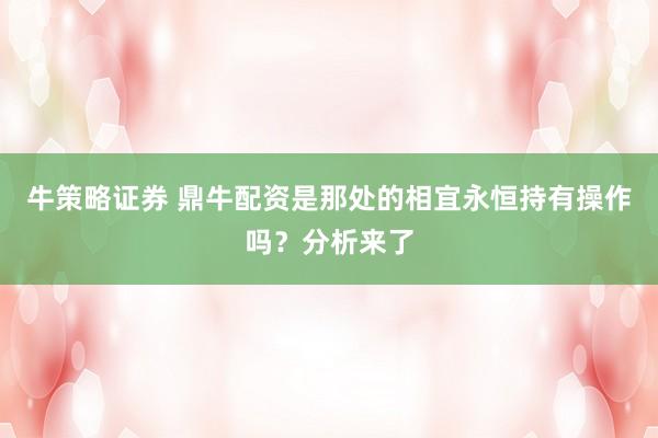 牛策略证券 鼎牛配资是那处的相宜永恒持有操作吗？分析来了